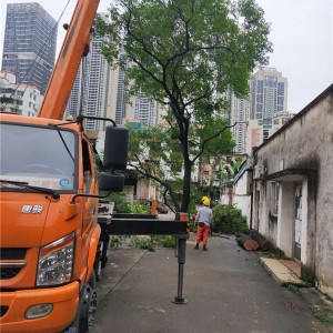 广州庭院树木迁移种植 广州庭院树木修剪砍伐